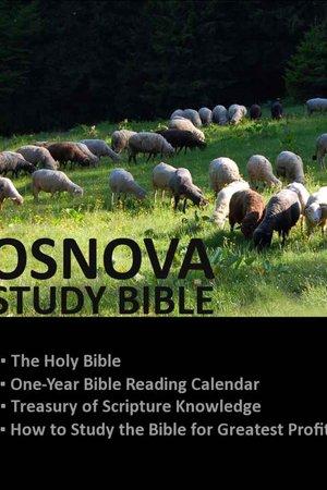 Bible, OSNOVA Study Bible
