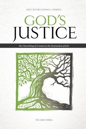 NIV, God's Justice