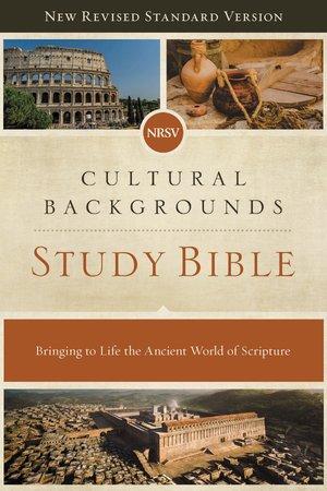 NRSV, Cultural Backgrounds Study Bible