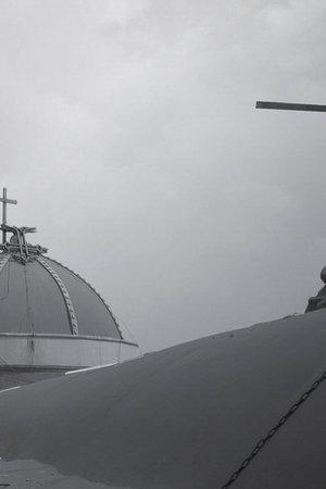 NLT, The One Year Pray for the Persecuted Bible