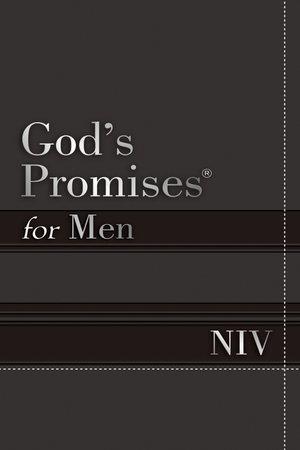 NIV, God's Promises for Men