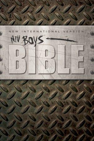 NIV, Boys Bible