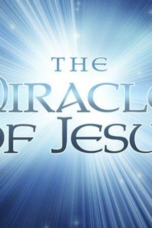 Listiing of the 19 Healing Mira