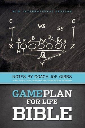 NIV, The Game Plan for Life Bible